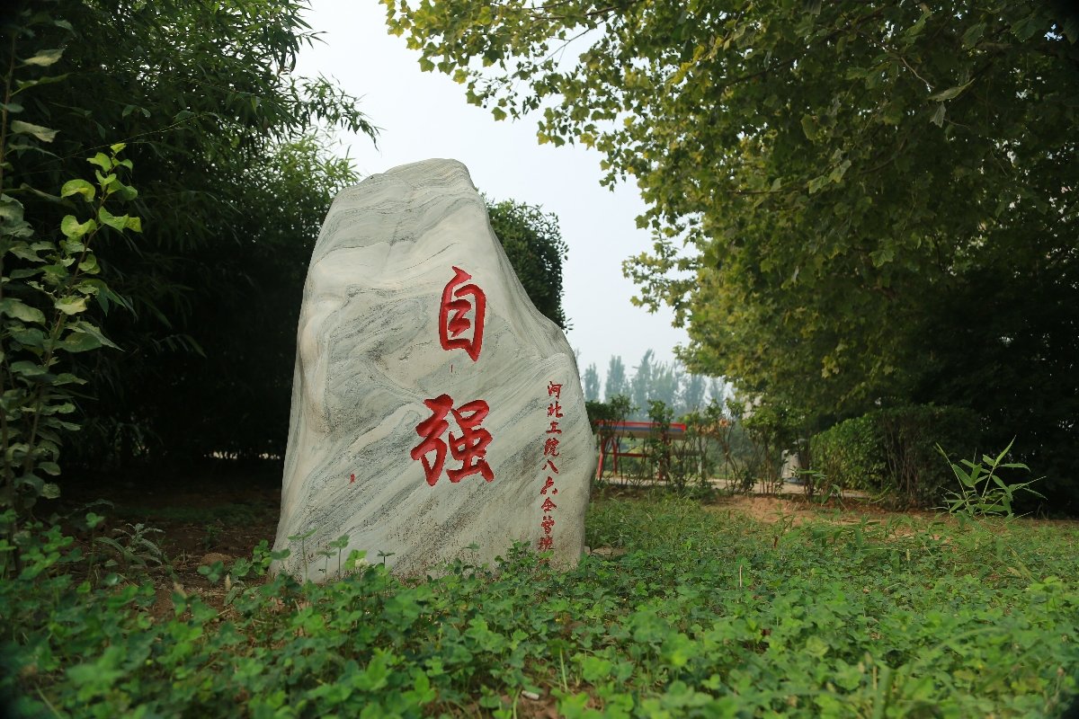 自强石