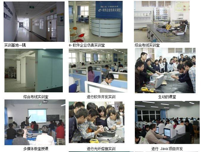 2005 年 12 月欧宝电竞官网新