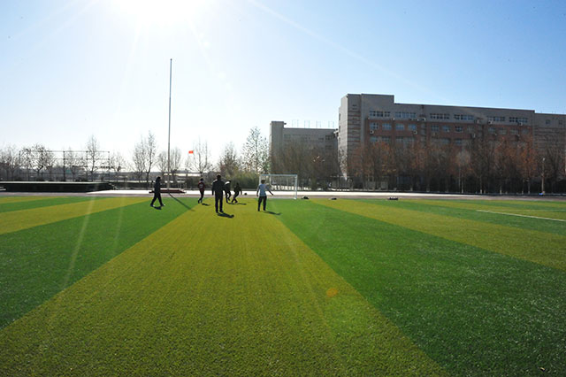汽车工程学院 / 智能制造学院 / 
